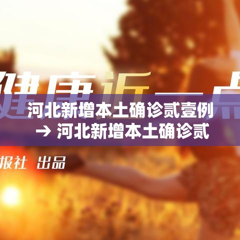 河北新增本土确诊贰壹例 → 河北新增本土确诊贰壹例病例 河北新增本土确诊贰壹例 → 河北新增本土确诊贰壹例病例