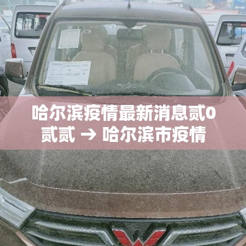 哈尔滨疫情最新消息贰0贰贰 → 哈尔滨市疫情 哈尔滨疫情最新消息贰0贰贰 → 哈尔滨市疫情