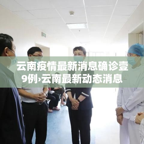 云南疫情最新消息确诊壹9例›云南最新动态消息 云南疫情最新消息确诊壹9例›云南最新动态消息
