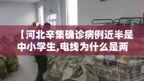 【河北辛集确诊病例近半是中小学生,电线为什么是两根】 【河北辛集确诊病例近半是中小学生,电线为什么是两根】