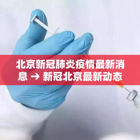北京新冠肺炎疫情最新消息 → 新冠北京最新动态今天 北京新冠肺炎疫情最新消息 → 新冠北京最新动态今天