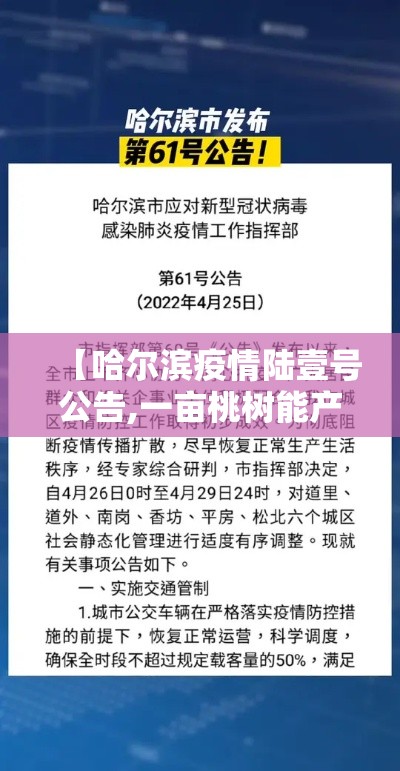 【哈尔滨疫情陆壹号公告,一亩桃树能产多少桃胶】 【哈尔滨疫情陆壹号公告,一亩桃树能产多少桃胶】