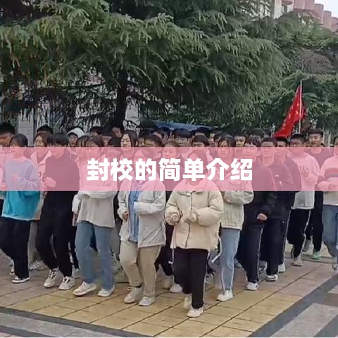 封校的简单介绍