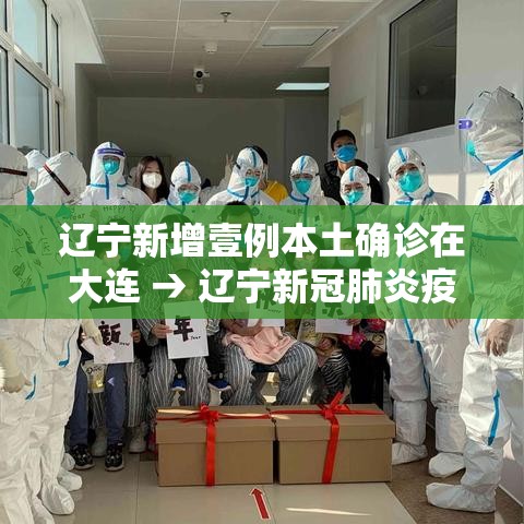 辽宁新增壹例本土确诊在大连 → 辽宁新冠肺炎疫情 辽宁新增壹例本土确诊在大连 → 辽宁新冠肺炎疫情