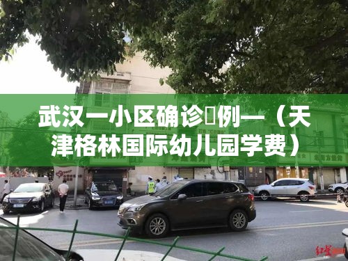 武汉一小区确诊無例—(天津格林国际幼儿园学费) 武汉一小区确诊無例—(天津格林国际幼儿园学费)