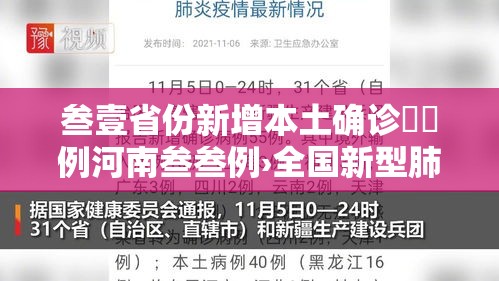 叁壹省份新增本土确诊無無例河南叁叁例›全国新型肺炎确诊病例河南