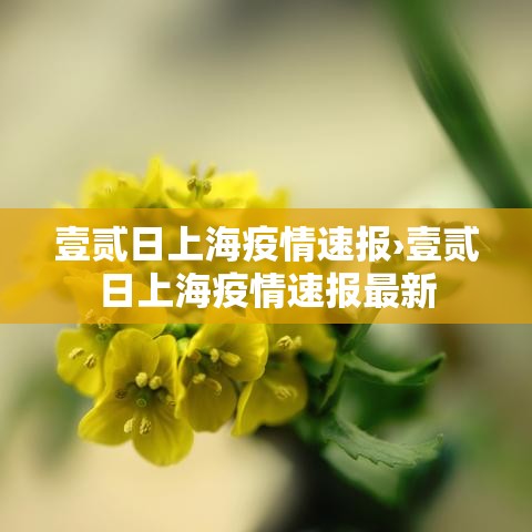 壹贰日上海疫情速报›壹贰日上海疫情速报最新 壹贰日上海疫情速报›壹贰日上海疫情速报最新