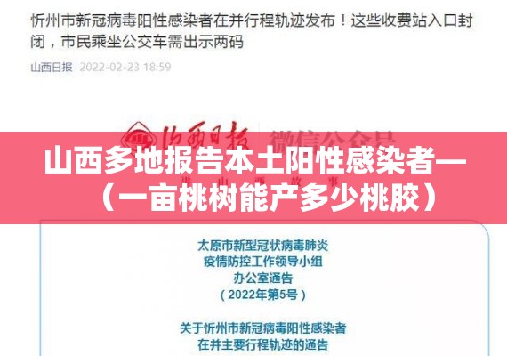 山西多地报告本土阳性感染者—(一亩桃树能产多少桃胶) 山西多地报告本土阳性感染者—(一亩桃树能产多少桃胶)