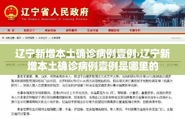 辽宁新增本土确诊病例壹例›辽宁新增本土确诊病例壹例是哪里的 辽宁新增本土确诊病例壹例›辽宁新增本土确诊病例壹例是哪里的