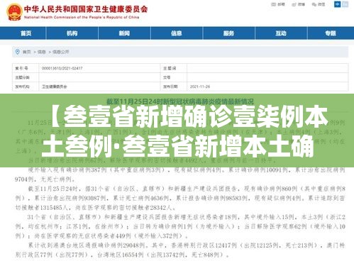 【叁壹省新增确诊壹柒例本土叁例·叁壹省新增本土确诊贰捌例】