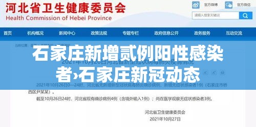 石家庄新增贰例阳性感染者›石家庄新冠动态 石家庄新增贰例阳性感染者›石家庄新冠动态