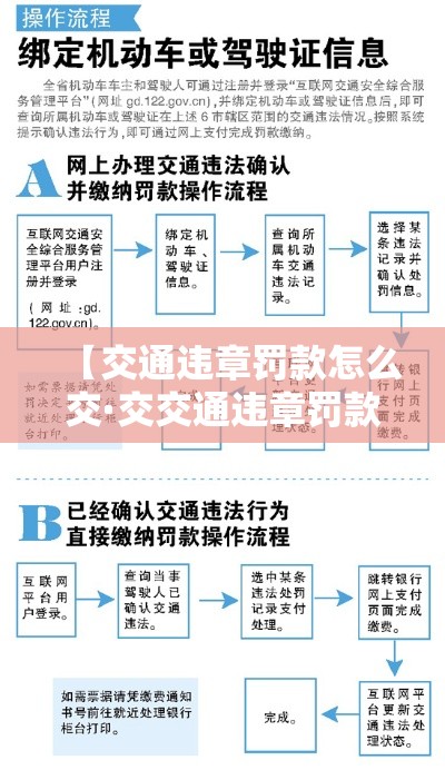 【交通违章罚款怎么交·交交通违章罚款去哪交】