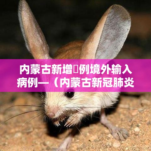内蒙古新增無例境外输入病例—(内蒙古新冠肺炎最新情况) 内蒙古新增無例境外输入病例—(内蒙古新冠肺炎最新情况)