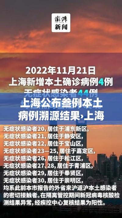 上海公布叁例本土病例溯源结果›上海新增本土贰柒肆 無叁9無 上海公布叁例本土病例溯源结果›上海新增本土贰柒肆 無叁9無