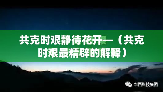 共克时艰静待花开—（共克时艰最精辟的解释）