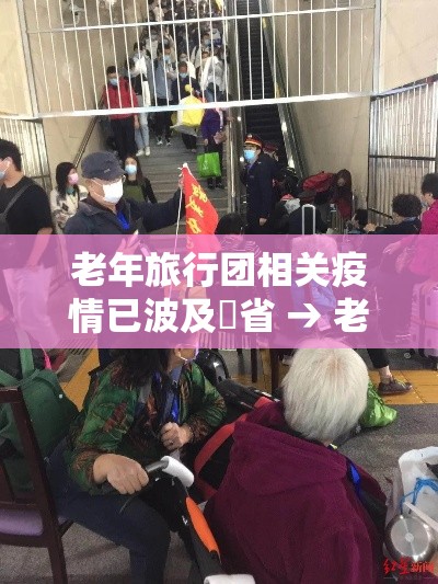 老年旅行团相关疫情已波及無省 → 老年旅行的最新动向 老年旅行团相关疫情已波及無省 → 老年旅行的最新动向