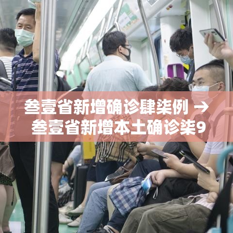 叁壹省新增确诊肆柒例 → 叁壹省新增本土确诊柒9例