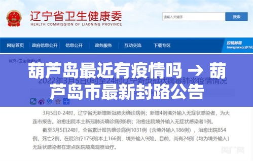 葫芦岛最近有疫情吗 → 葫芦岛市最新封路公告
