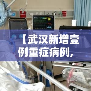 【武汉新增壹例重症病例,湖北省武汉市新增病例】 【武汉新增壹例重症病例,湖北省武汉市新增病例】
